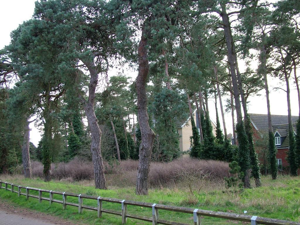 Thistle Cottage Mildenhall Exterior photo